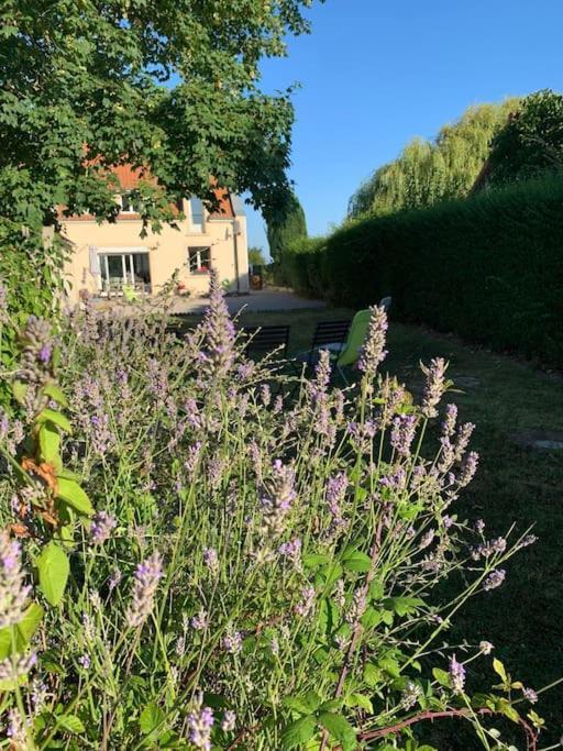 Hébergement de vacances Maison Village, 10 Pers, Proche De La Audinghen
